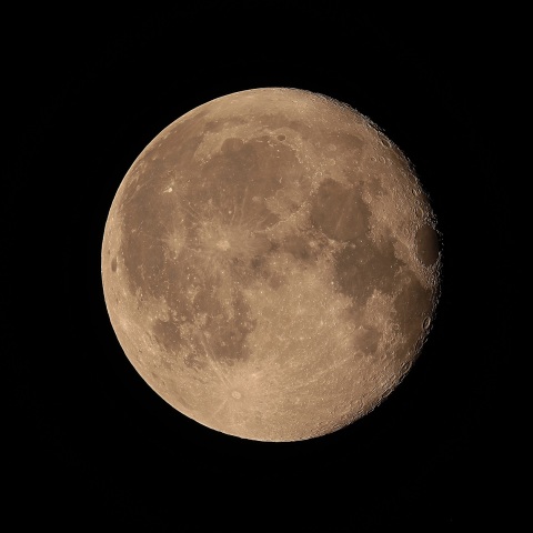 月齢16 2019年8月17日