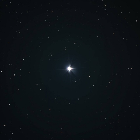 デネブ 2019年8月30日