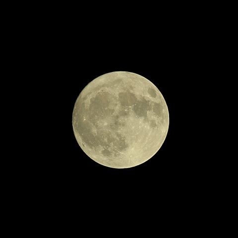 月齢14.4 2019年10月13日