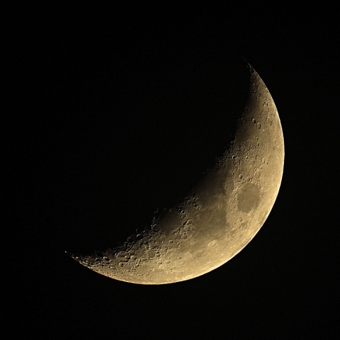 月齢5 2019年11月2日