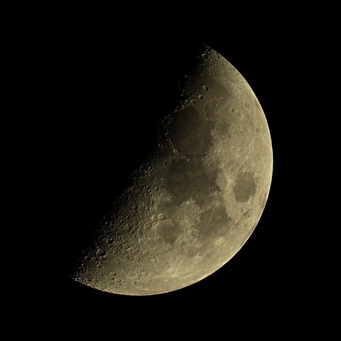 月齢7（上弦） 2019年11月4日