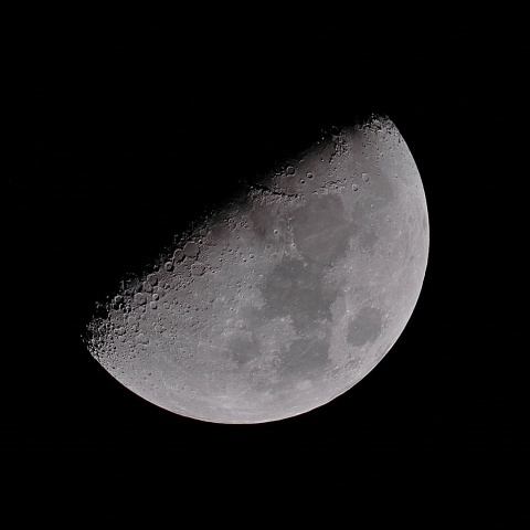 月齢8 2019年11月5日