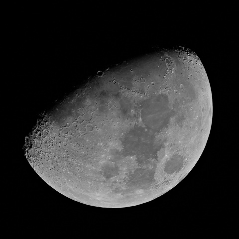 月齢9 2019年11月6日