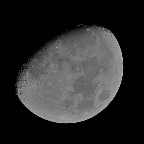 月齢10 2019年11月7日