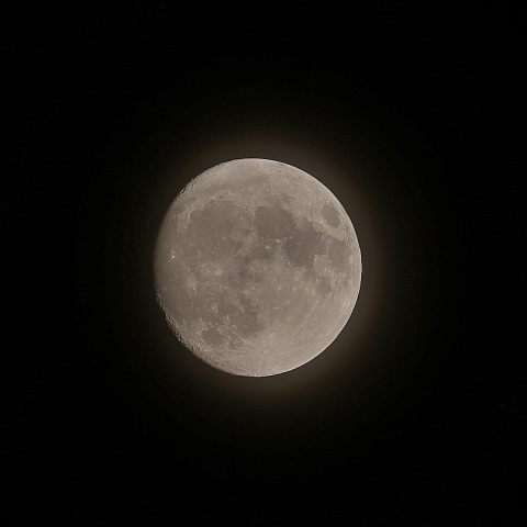 月齢13 2019年11月10日