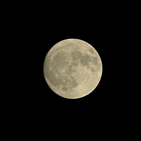 月齢14 2019年11月11日