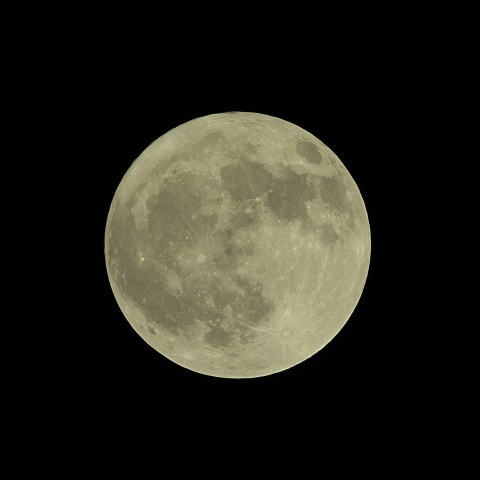 満月 2019年11月12日