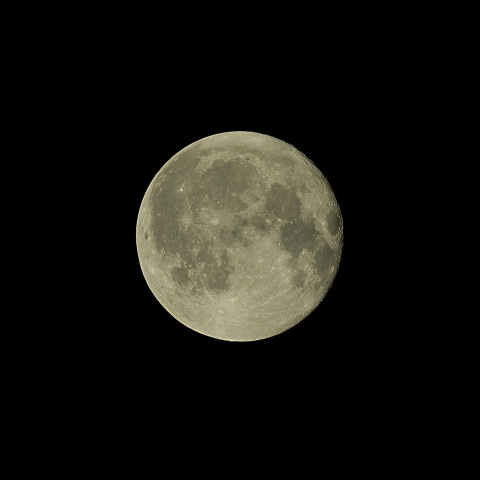 月齢17 2019年11月14日