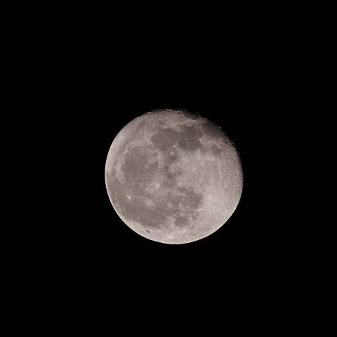 月齢17 2019年11月14日