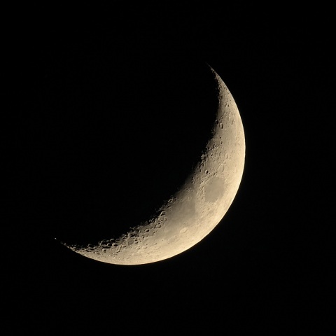 月齢4.5 2019年12月1日