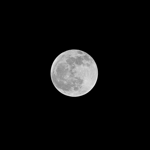 満月 2019年12月12日