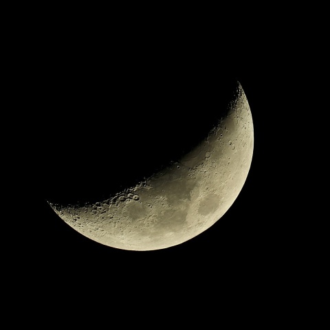 月齢5.9 2020年1月1日