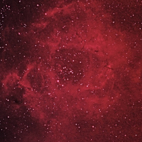 バラ星雲 2020年1月11日