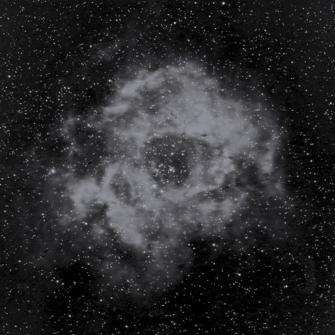 バラ星雲 2020年1月15日