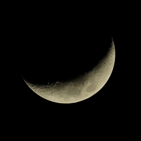 月齢5.2 2020年1月30日