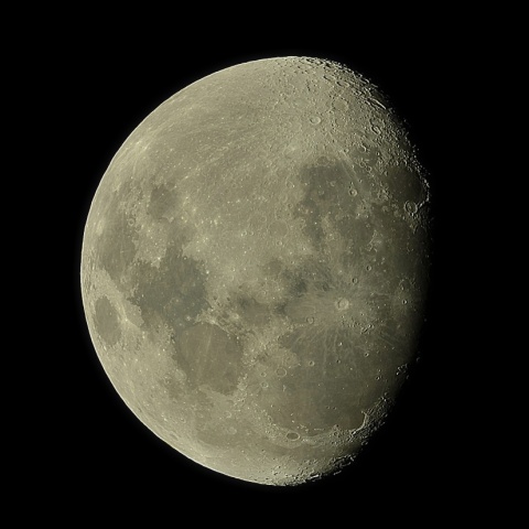 月齢11.2 2020年2月5日