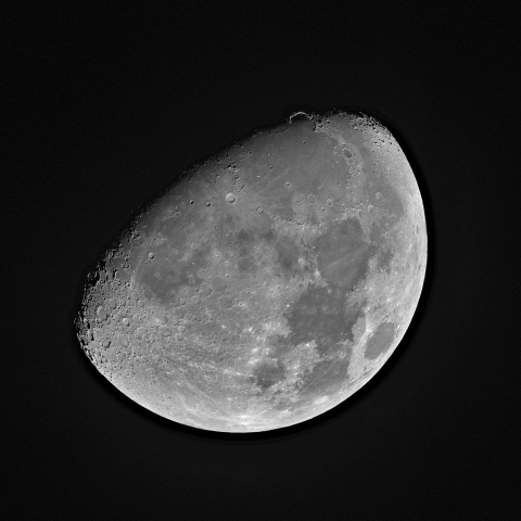 月齢10.2 2020年2月4日