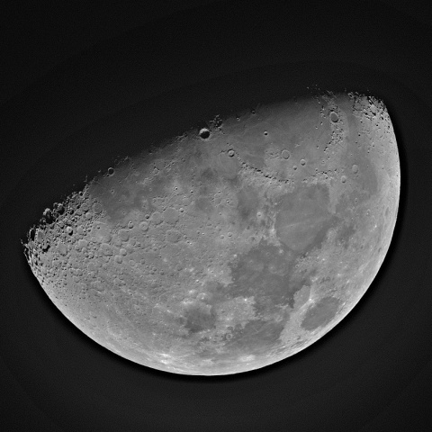 月齢9 2020年2月3日