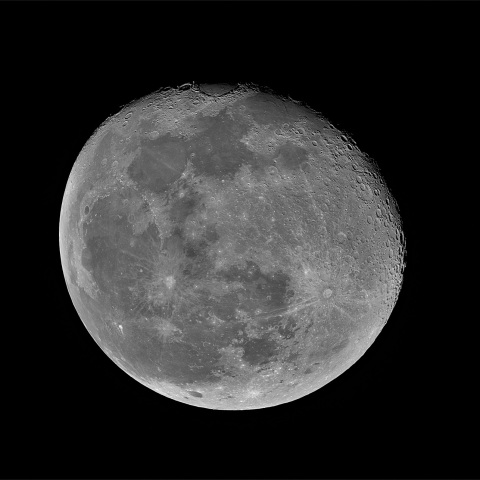 月齢17 2020年2月11日