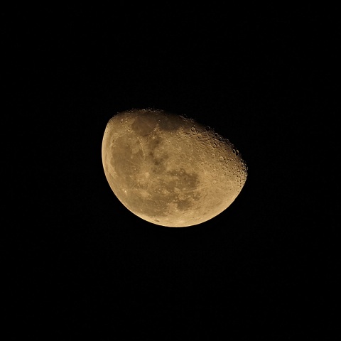 月齢19 2020年2月13日