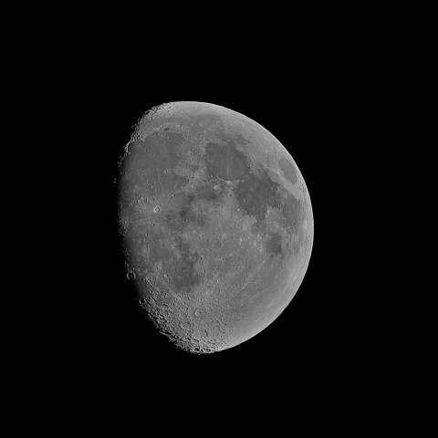 月齢10 2020年3月5日