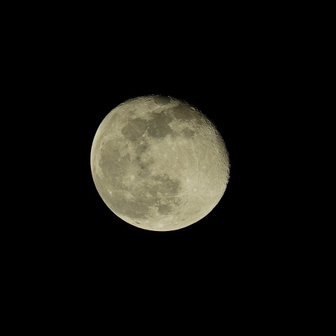 月齢16 2020年3月11日