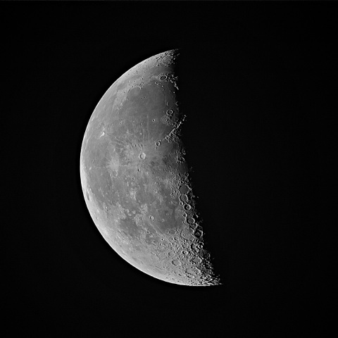 月齢22 2020年3月17日