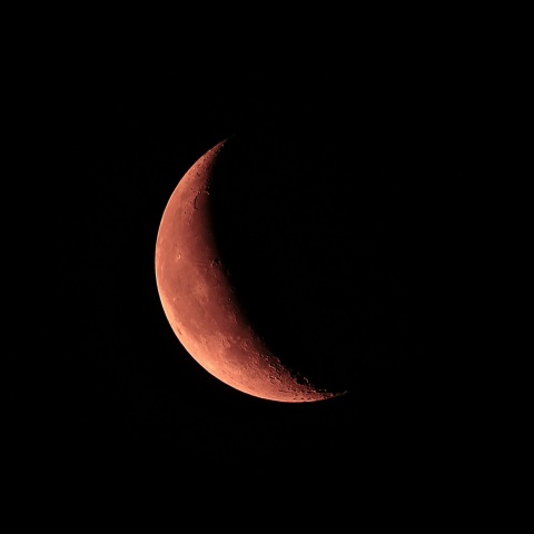 月齢24 2020年3月19日