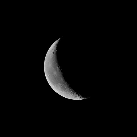 月齢24 2020年3月19日