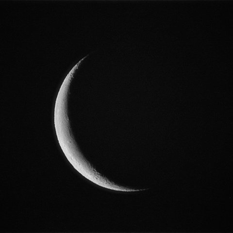 月齢26 2020年3月21日