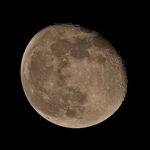 月齢16 2020年4月10日