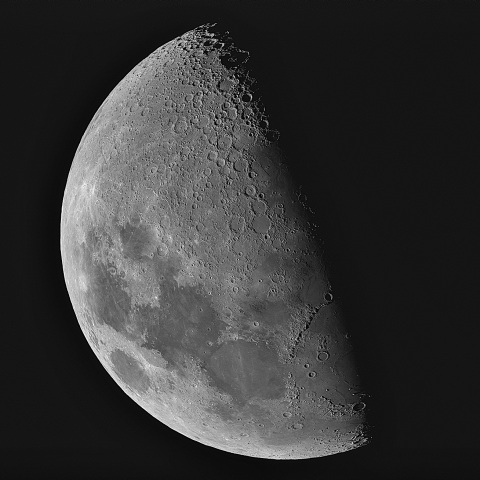 月齢8 2020年5月1日