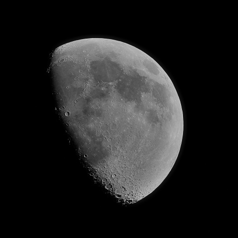 月齢9 2020年5月2日