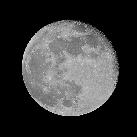 月齢15 2020年5月8日