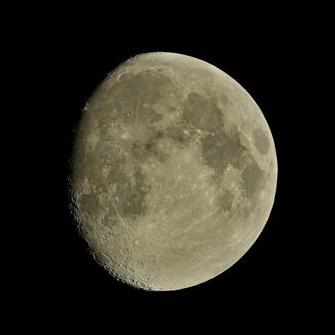 月齢11 2020年5月4日