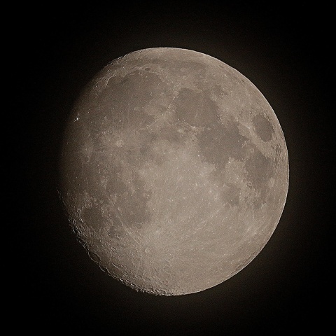 月齢11.8 2020年6月3日