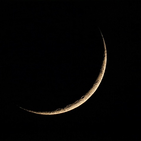 月齢2.2 2020年6月23日