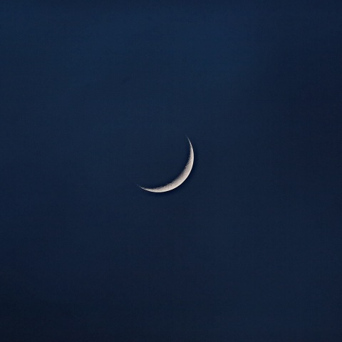 月齢3.2 2020年6月24日