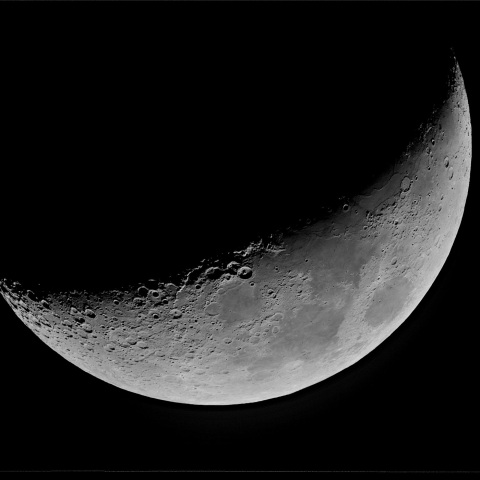 夕月 2020年6月26日