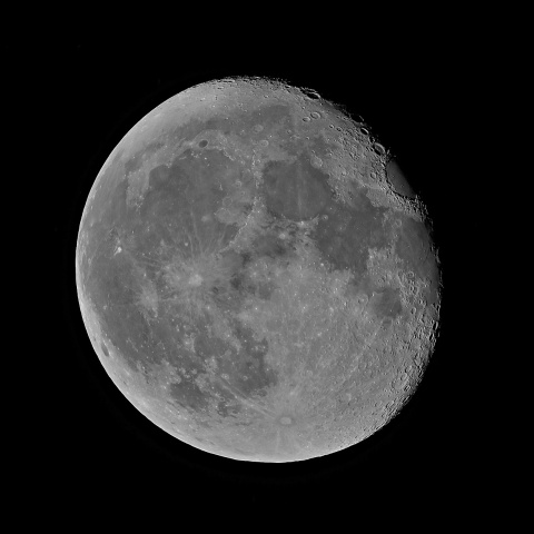 立待月 2020年8月6日