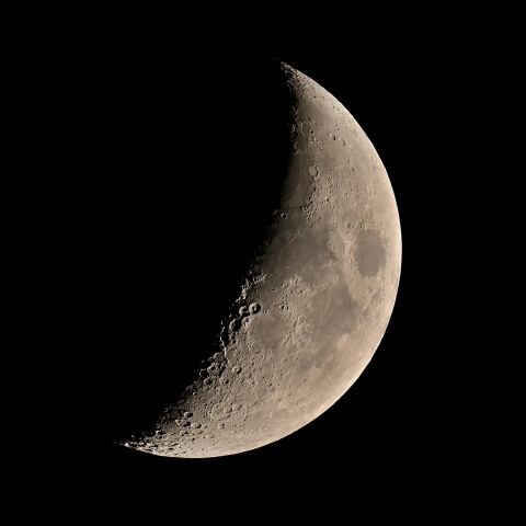 夕月 2020年8月24日