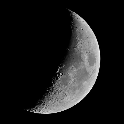 夕月 2020年8月24日