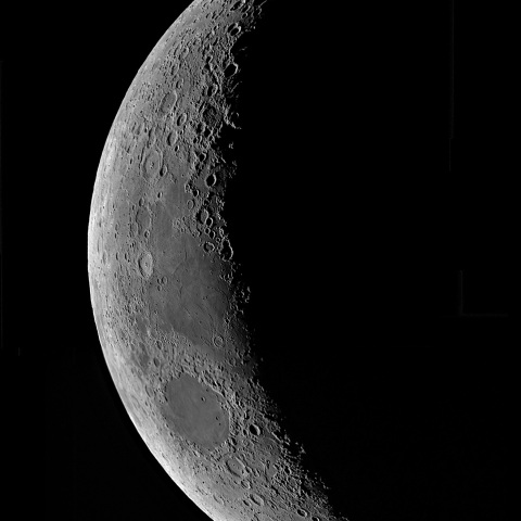 夕月 2020年9月21日