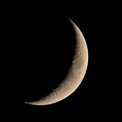 夕月 2020年10月20日
