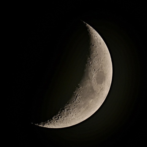 夕月 2020年10月21日