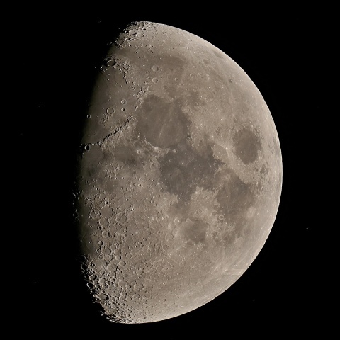 九夜月（カラー）2020年10月25日