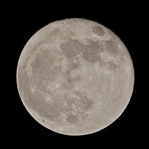 十六夜 2020年11月1日