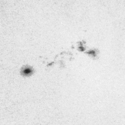 太陽黒点 2020年11月8日