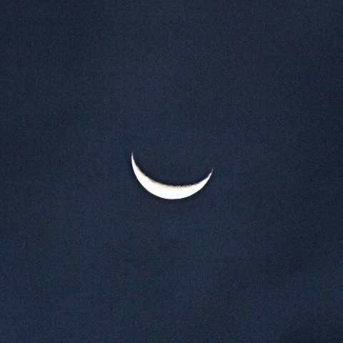 有明月 2020年11月12日