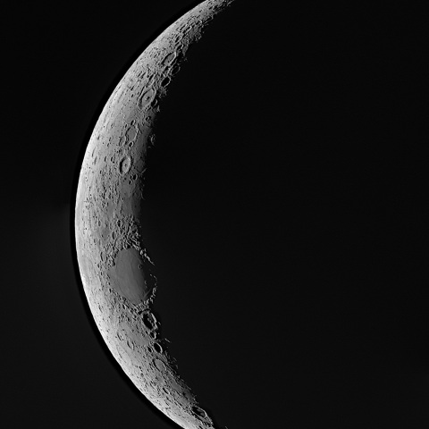 夕月 2020年11月18日